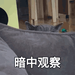 示例图片